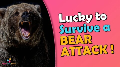 Lucky to Survive a Bear Attack Teton Hike Survivors Incredible Elopement