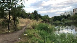 Cyclist is set on fire and jumps into lake