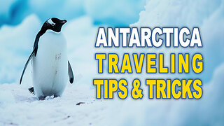 Antarctica: Traveling Tips and Tricks - Go Travel