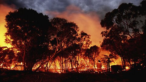 New South Wales Prepares For Heat Wave Amid Wildfires