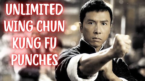 IP Man (Unlimited Wing Chun Punches)
