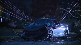 Woman hospitalized after tree falls onto her car in Westlake