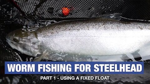 "How-To" Fishing With Steelhead Worms Using A Fixed Float (Worm Series Part 1 of 3)