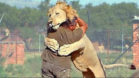 Animals Reunited With Owners After Years !