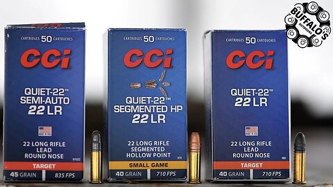 Exploring the CCI QUIET-22 Family of Ammunition