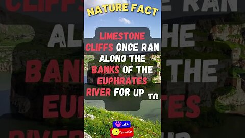 Discover Fascinating Nature Facts👀 #shorts #shortsfact #naturefacts #euphratesriver #limestone