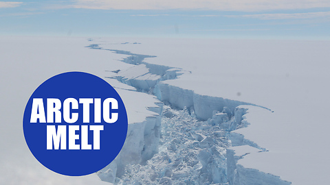 Antarctic ice shelves 'would raise global sea levels