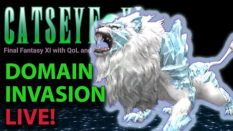 DOMAIN INVASION - New Cat'e Eye Updated Battles -