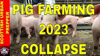 BRITAINS NEW 5 POINT PLAN, PIG FARMERS FACING A NIGHTMARE 2023