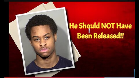 Vegas Menace To Society Released From Jail!