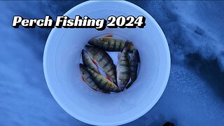 $50 Amazon Gift Card Giveaway #3, Perch Fishing 2024