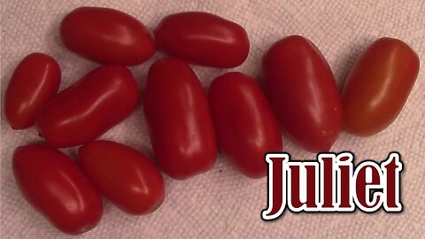 Tomato Review: Juliet (Hybrid)