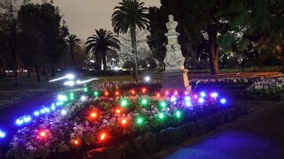 Easy light painting tutorial | Mystical garden scene in less than a minute