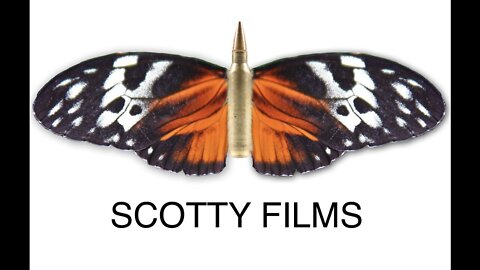 (Scotty Mar10) The Smashing Pumpkins - Bullet with Butterfly Wings.