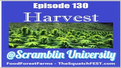 @Scramblin University - Episode 130 - Harvest