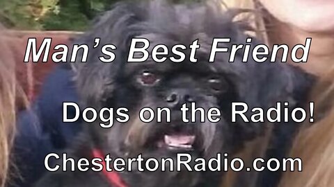 Man's Best Friend - Dogs on the Radio!