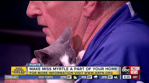 Oct. 8 Rescues in Action: Make Miss Myrtle new family member