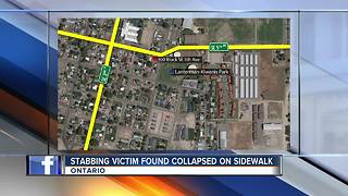 Stabbing victim found collapsed on sidewalk