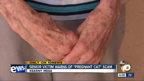 'Pregnant cat' scam led to theft of Kearny Mesa woman's heirlooms