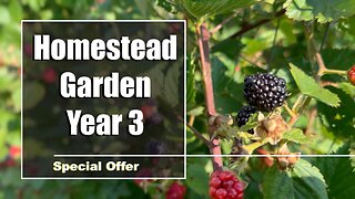 Garden Changes in '24 - Special Offer