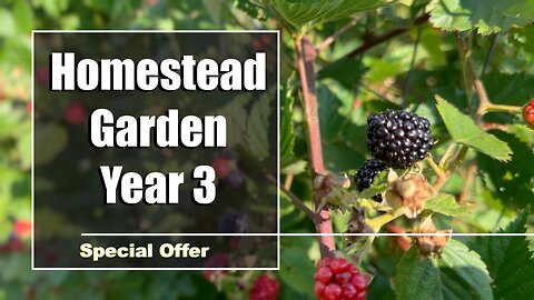 Garden Changes in '24 - Special Offer