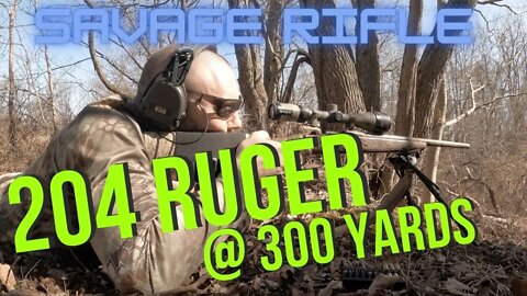 204 Ruger @ 300 yards