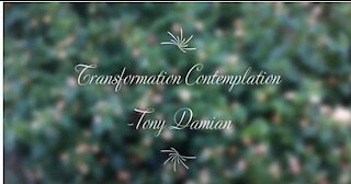 Transformation Contemplation