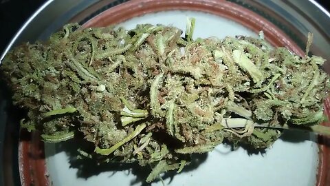 close up of the birthday Bud