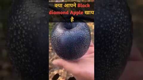 क्या आपने Black Apple खाया है | rarest black apple | Black diamond apple | black apple#shorts