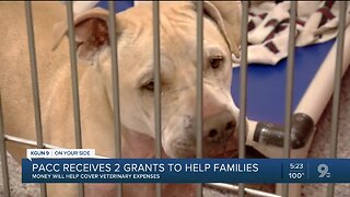 PACC receives grant money to help cover veterinary expense for families impacted by COVID-19