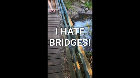 Bridges scare the crap out of me! #shorts