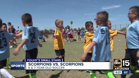 Fouhy's Small Stars: Scorpions soccer match