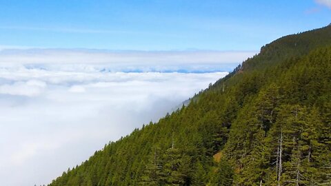 Hiking 26 km Mount Irwin | CLOUD SHELF!