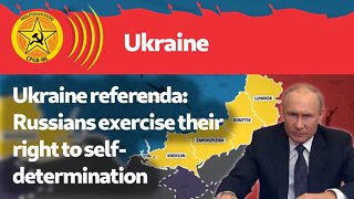 Ukraine referenda: Russians exercise their right to self-determination