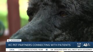 KC Pet Partners connecting with patients
