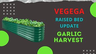 Vegega Raised Bed Update