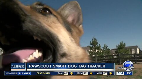 Pawscout claims to be a smart dog tag tracker — but does it work?