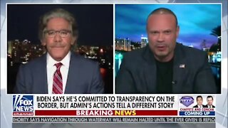 Bongino To Geraldo: Why Aren't You Taking A 9 Year Old Illegal In?