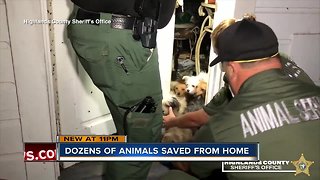 Video shows deputies rescue 50 animals from home, woman charged with 72 counts of animal cruelty