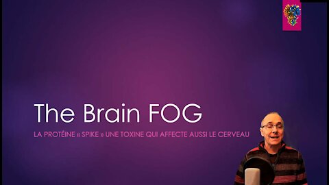 Brain Fog, la protéine Spike est toxique pour le cerveau