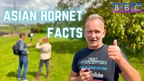 ASIAN HORNET - BBC report the FACTS!!!