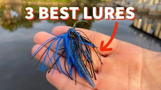 Winter Bass Fishing: 3 BEST Lures to Use