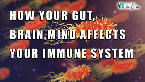 How Your Gut, Brain, Mind Affects Your Immune System