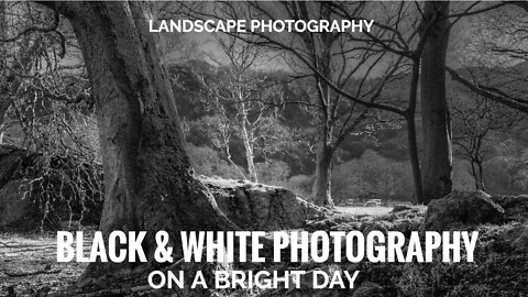Black and White Photography On a Bright Day (2021)