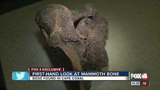 First hand look at mammoth bone in Cape Coral