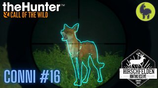 Conni #16 Hirschfelden | theHunter: Call of the Wild (PS5 4K)
