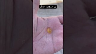 در نجف اصفر