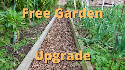 Wood chipped pathways: free garden upgrade