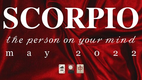 SCORPIO ♏️ The Person on Your Mind — May 2022