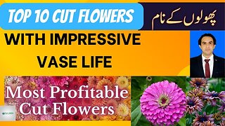 Top 10 cut flowers with impressive vase life